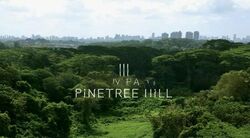 Pinetree Hill (D21), Condominium #432394701